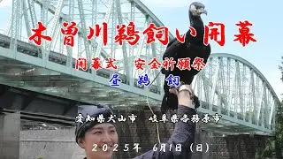 木曾川鵜飼い開き