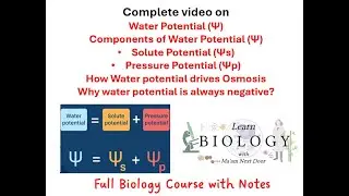 Lecture 13 | Water Potential | Solute Potential | Pressure Potential | and its role in Osmosis