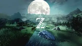 Relaxing Breath of the Wild Music| Night Sound Ambience