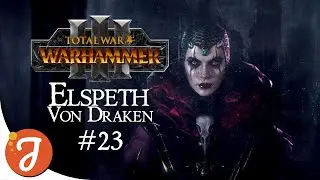 TELEPORTATION MALFUNCTION | ELSPETH #23 | Total War: WARHAMMER III