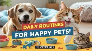 How to Care for Your Pets Every Day| Routine Care for Your Pets| Daily Pet Care for Dogs and Cats
