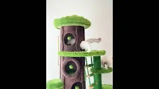 Mega Jungle Cat Playground Climbing Tree🌳 #catfurniture#bestpetsupplies #cat