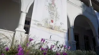 VINO CAMINO 2024