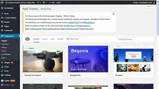 WordPress Theme Installation Error