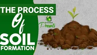 The Process Of Soil Formation | Viruses Unfurlor | OPSC UPSC OAS IAS OCS