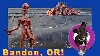 Crazy Sculptures, Bandon, Oregon's waterfront and the Coquille Lighthouse  (III-13)