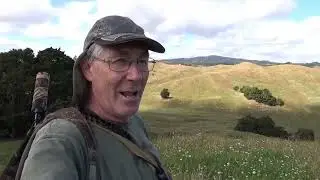 Peacock Hunt 10