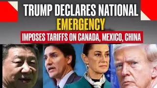 Donald Trump's Tariffs Spark Trade War |Canada, China, Mexico Retaliate | Economic Fallout Explained