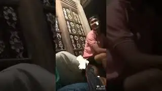 Pembunuh darah dingin