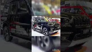 Popular Suvs