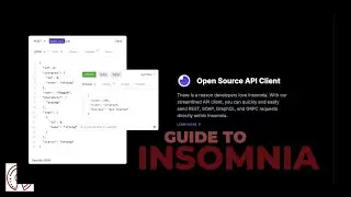 Insomnia and Insomnia Documenter with Example Response Code Documentation