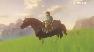 Zelda Wii U Theory - Timeline Placement & Plot Details