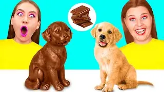 Real Food vs Chocolate Food Challenge | Epic Food Battle by Fun Fun Challenge