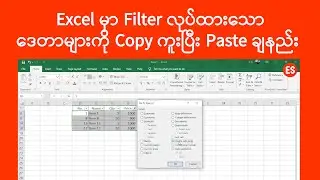 Excel မှာ Filter လုပ်ထားသည်များကို Copy ကူးပြီး Paste ချနည်း  | Excel သင်ခန်းစာ | Experience Sharing