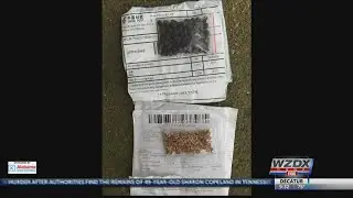 Mysterious seeds: ADAI releases test results from mysterious seeds from China