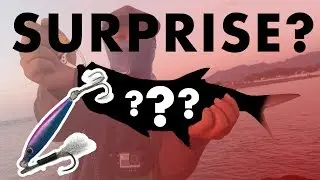 Surprise Catch on UL Game | Landbase Micro Jigging PHILIPPINES