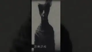 GREY ALIEN FROM ZETA RETICULI 1942 -1969