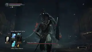 Dark souls 3 Yhorm the Giant (Hitless)