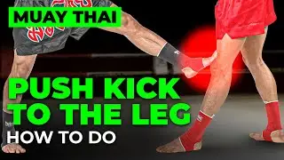 Push Kick to the Leg | Muay Thai Series 2025