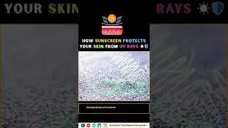 How Sunscreen Protects Your Skin from UV Rays ☀️🛡️