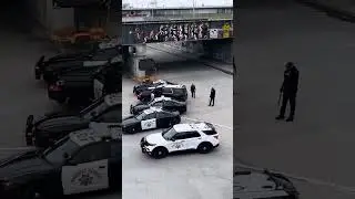 Көтерліс америка халықты қорғайды барлығы