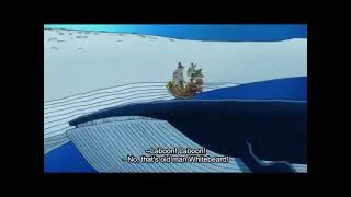 no, Thats old man Whitebeard!
