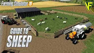 Farming Simulator 19 Guide to Sheep