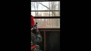 2019 buck kill with 270