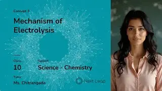 Mechanism of Electrolysis | Class 10 Chemistry