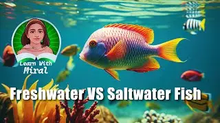 Freshwater vs Saltwater Fish! #freshwaterfish #saltwaterfish #marinefish #aquaculture