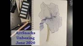 ArtSnack Unboxing June 2020