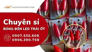 B&oacute;ng đ&egrave;n LED tr&aacute;i ớt (C&agrave; na/Quả nh&oacute;t) gi&aacute; sỉ si&ecirc;u ưu đ&atilde;i