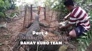 How to trap Komodo Dragon | Giant Lizard | Monitor Lizard Trap