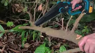 8 Inch Brushless Electric Saw Cordless Oil Electric Chain Saw Garden Wood Loggin