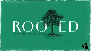 Rooted | Hope That Holds On