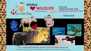 Wildlife Jewels&reg; UN World Wildlife Day 2024 Webinar: Digital Innovation for Wildlife Conservation