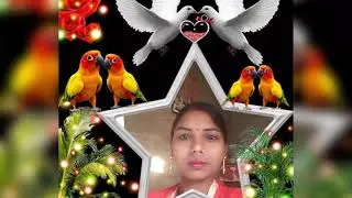 7355849913, Sushma