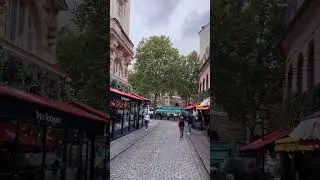 Parisian street vibes 🇫🇷 #paris #france #viral #vibes #explore #europe #lifestyle #views