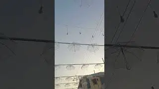 Uran market #jayadevraj #navimumbai #shortsvideo#shorts