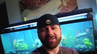 My 125 Gallon Aquarium