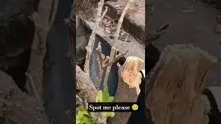 🙏welcome to my mini vilog 🙏#vilog #funny #shortvideo #viral #ronaldomessi#lover