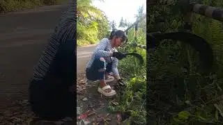 nang lakbas sya sa gilid ng kalsada sa purok 7 sagbang