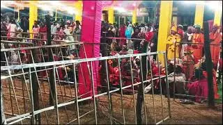 Pamshala mela Jashpur  CG लोक नृत्य द्वितीय दिवस 14/1/2026 