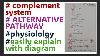 # ALTERNATIVE PATHWAY OF COMPLEMENT SYSTEM # PHYSIOLOGY# pathology # FOR MEDICAL STUDENTS ⚕️👩&zwj;⚕️👨&zwj;⚕️