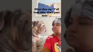 Yeup! That&rsquo;s my twin! 😝 #barkleythabulldog #bulldog #englishbulldog