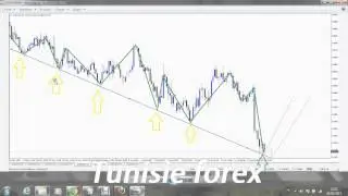USDAUD Tunisie forex