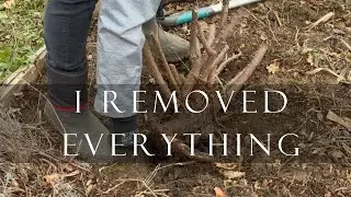 Resetting a Garden Border in Winter | Removing Overgrown Plants & Rethinking Structure