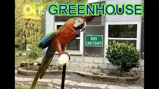 DiY Greenhouse