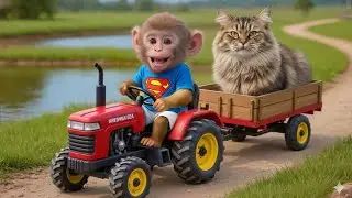 Nana monkey funny cartoon Nani monkey cute baby monkey nano monkey Nano banana ai video 