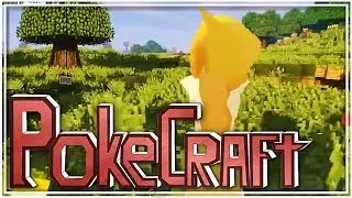 Schon so viele coole Pokemon! #02 Pokecraft 2 | Balui miri33 | Minecraft Pixelmon